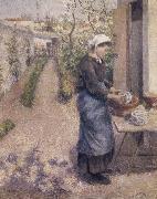 Woman washing dishes